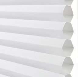 Cool White Cool White