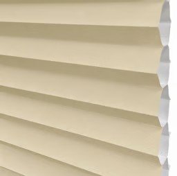 Parchment Parchment