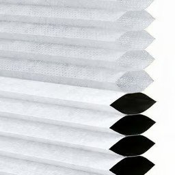 Cool White